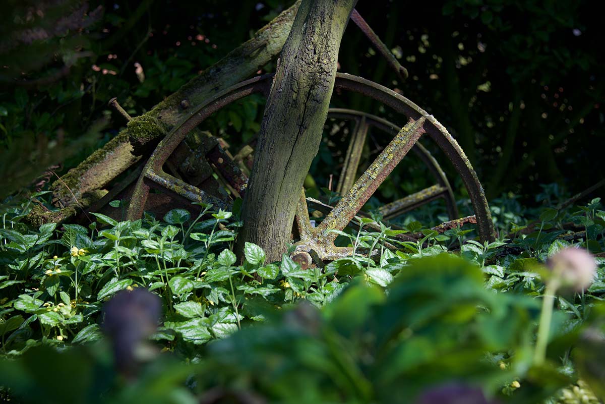 Garden Design