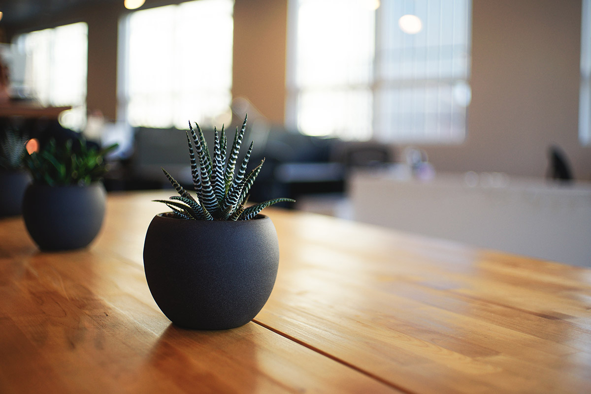 Landscape Architect
