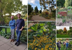Garden Design Essex