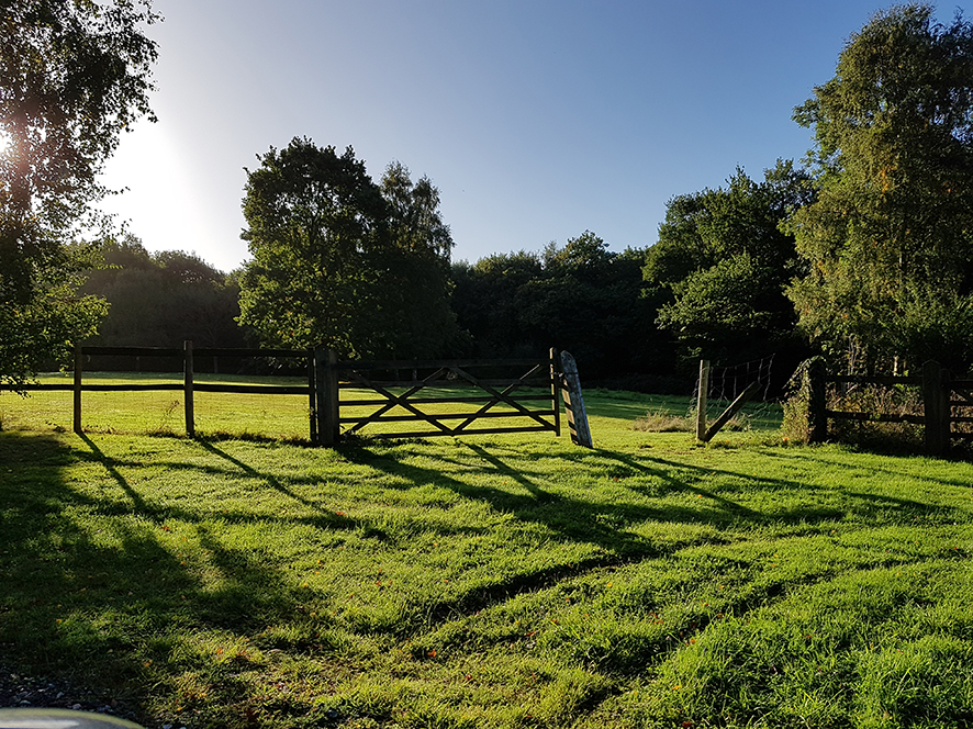 Planning Permission Granted
