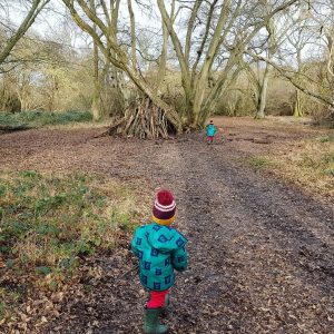 Designing for Play