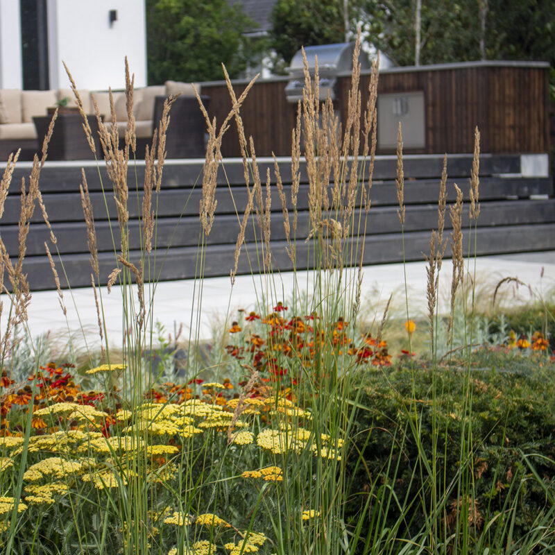 Landscape Architecture Essex